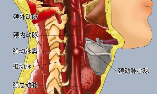 冷喷对皮肤能起到什么效果和作用-冷喷对皮肤能起到什么效果网—知名的冷喷能改善脸部皮肤过敏吗网站,分享冷喷对皮肤有什么好处知识