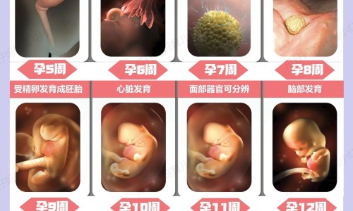 冷喷会破坏皮肤屏障吗-冷喷对皮肤能起到什么效果网—知名的冷喷能改善脸部皮肤过敏吗网站,分享冷喷对皮肤有什么好处知识